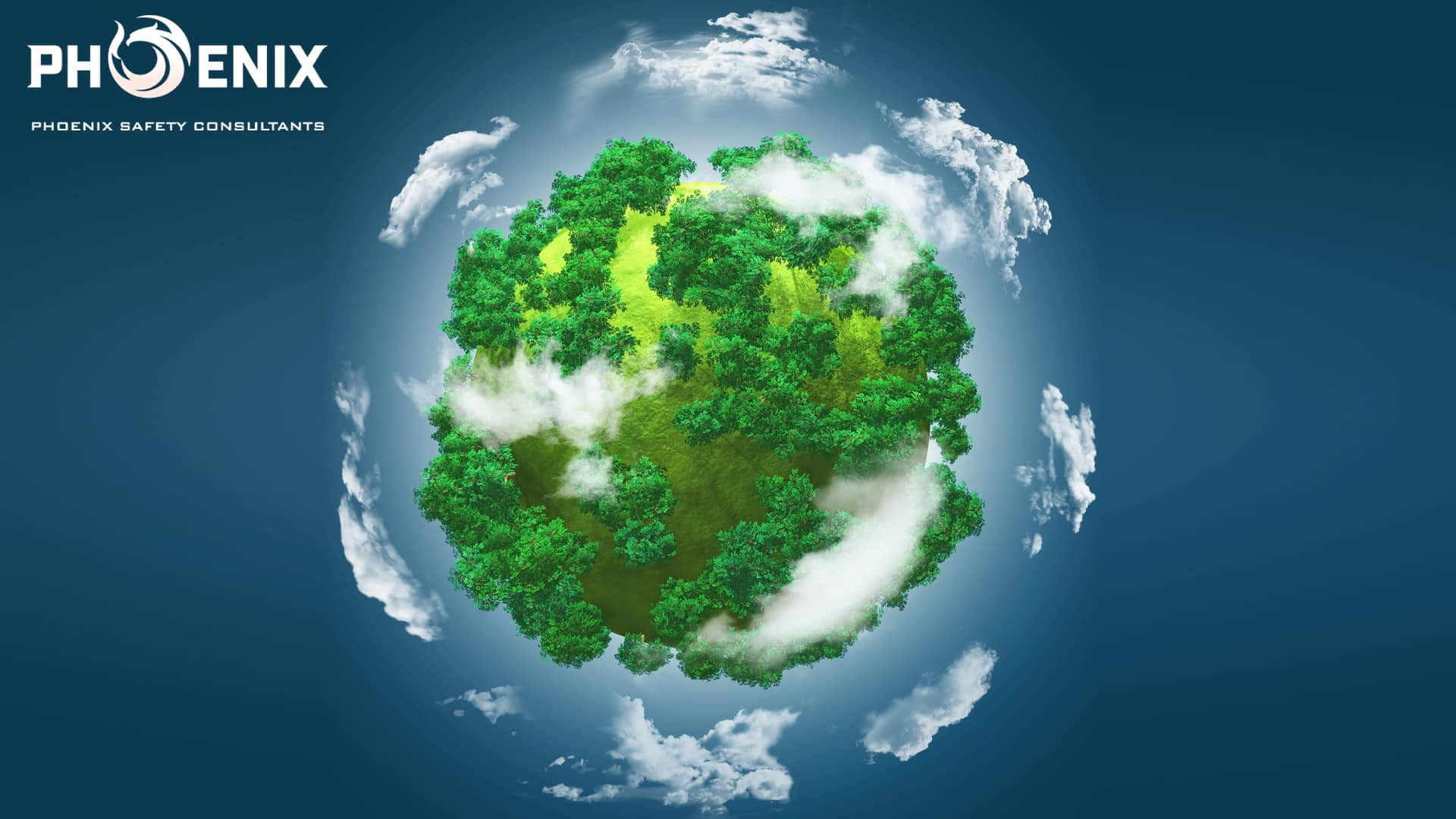 Environmental Consulting Services