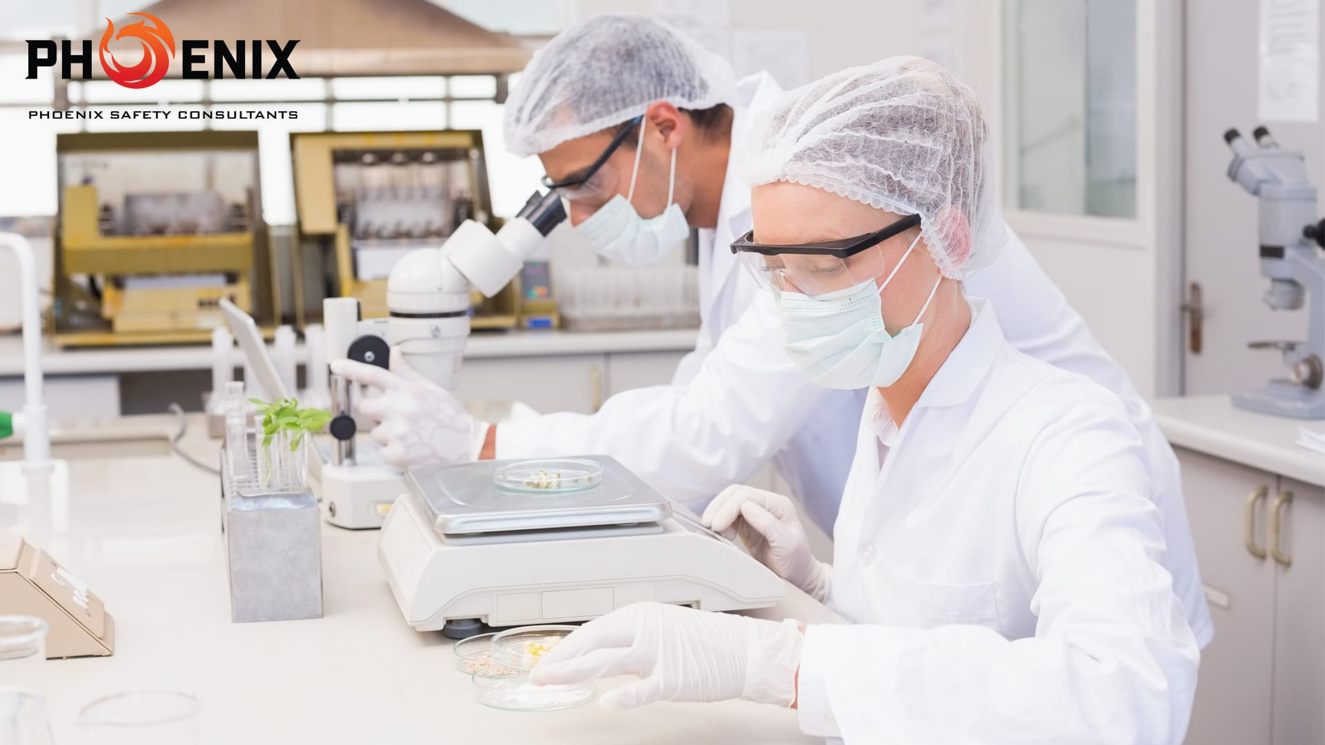 Cosmetic Product Safety Report CPSR